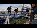 Hindi maganda nangyare sa pinakamalaking trap butasbutas dahil sa malaking isda