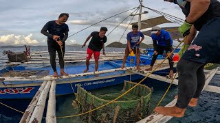 Hindi Maganda Nangyare Sa Pinakamalaking Trap ButasButas Dahil Sa Malaking Isda