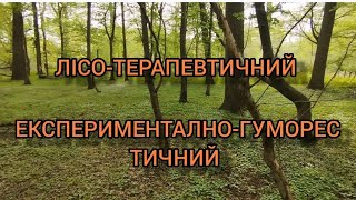 ЛІСО-ТЕРАПЕВТИЧНИЙ ЕКСПЕРИМЕНТ!