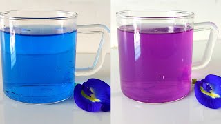 How to make Blue Tea |  How to make Aprajita Tea | Butterfly Pea flower Tea