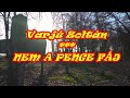 Varjú Zoltán - NEM A PENGE FÁJ