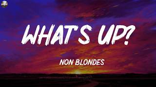 4 Non Blondes ~ What's Up? (Lyrics)