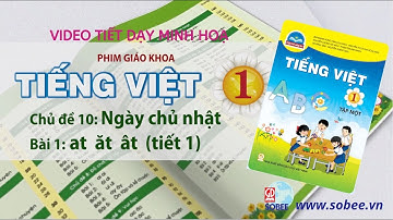Tiết dạy minh hoạ Tiếng Việt 1 tập 1 | Bộ sách CHÂN TRỜI SÁNG TẠO