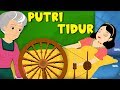 Putri Tidur | Kartun Anak Anak | Dongeng Bahasa Indonesia