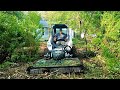 FRONT YARD Cleanup OVERGROWN With Bushes And Trees, Land Clearing For Bigger Lawn Part 1