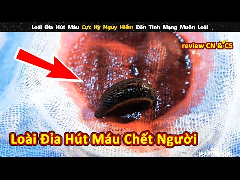 Video: Baku - cái nôi của dầu mỏ Nga