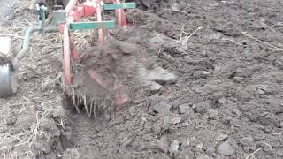 Belarus 820RM i Vogel Noot