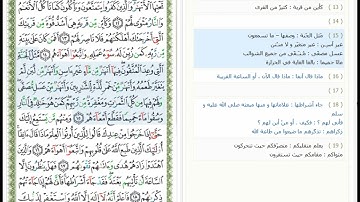 Surat Muhammad - 47 - القرآن الكريم بصوت محمد صديق المنشاوي - سورة محمد