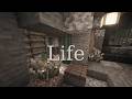 Life is Moving (C418, peaceful minecraft songs)