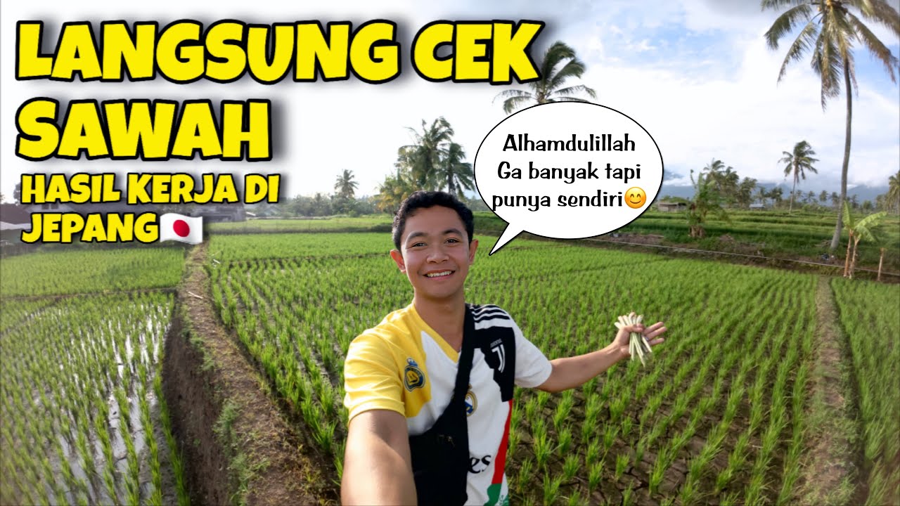 PULANG DARI 🇯🇵 LANGSUNG CEK SAWAH HASIL KERJA DI JEPANG