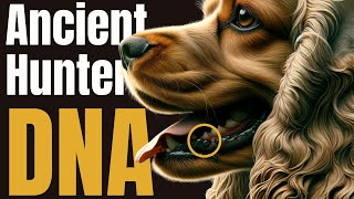 10 Shocking Cocker Spaniel Secrets You DIDNT Know #cockerspaniel #cocker