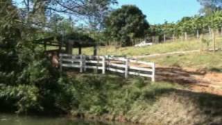 Caminhos Da Mantiqueira