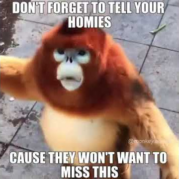Happy Funky Monkey Friday