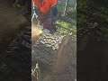 500i vs 592xp #chainsaw #stihl #bûcheron #chainsawman #husqvarna #ms500i