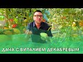 Дача с Виталием Декабревым Сезон 3 / Выпуск 6