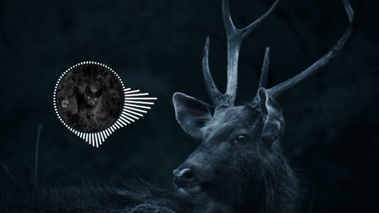 NEFFEX - The Plague 💀 [Copyright Free]