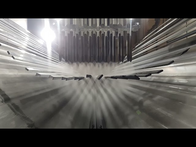 IPS ESTEE sur une ligne verticale