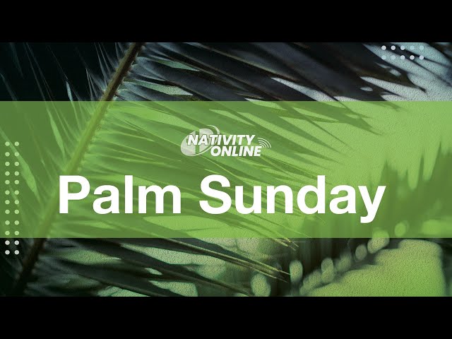 Sunday Mass for April 2nd | Palm Sunday