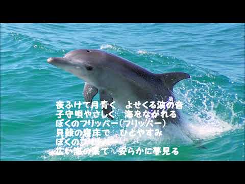 わんぱくフリッパー