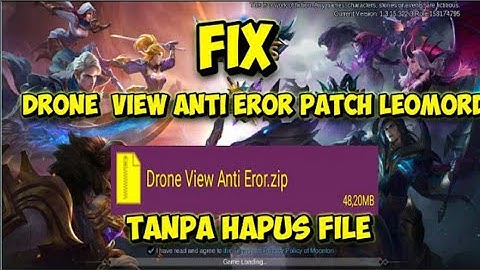 FIX DRONE VIEW ANTI EROR PATCH LEOMORD