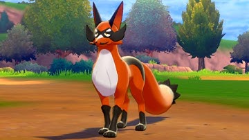 How to Catch THIEVUL (Route 7) - Pokemon Sword & Shield