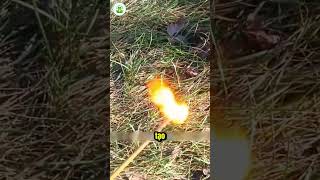 Bí Mật Bên Trong Đạn Xuyên Giáp Xe Tăng 125Mm