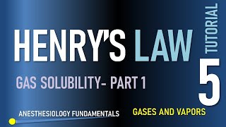 Henry s Law - How Gasses Dissolve in Liquids