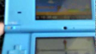 dsi easter eggs
