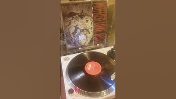 mother love bone - apple. ( Washington State grunge/ glam/ rock/ legends)
