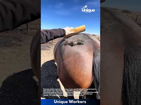 Horse Grooming: Removing Winter Coat with SleekEZ Tool