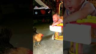 Cute 🐓🐓