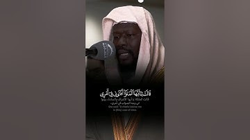 تلاوة حجازية ماتعة بصوت الشيخ عيسى سناكو من سورة النمل 🤍🍃