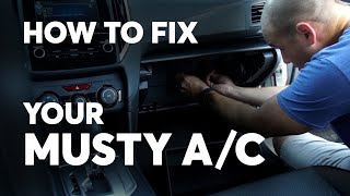 How to Get Rid of the Musty Smell From Your Car’s Air Conditioner | Consumer Reports