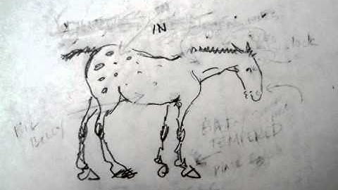 Easykeeper, single-channel video, 2005