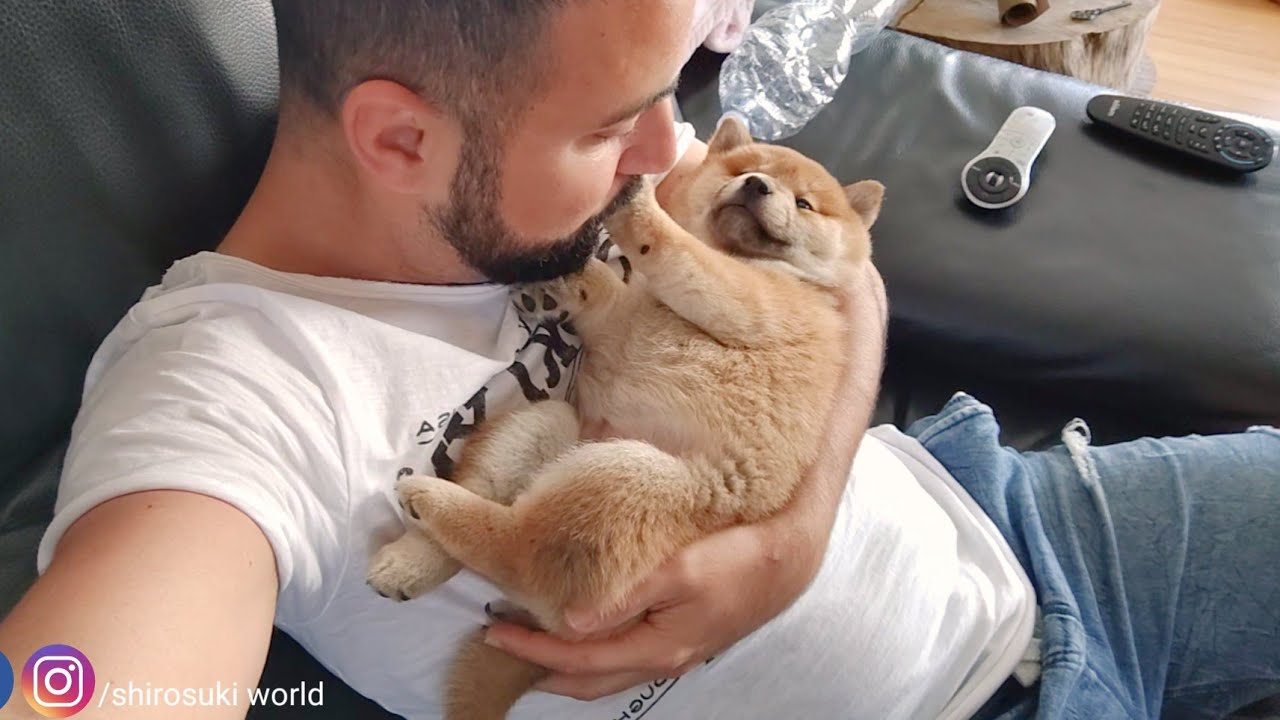 kissing-my-puppy-to-sleep-youtube