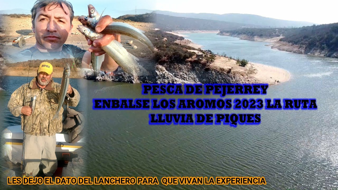 PESCA DE PEJERREY ENBALSE LOS AROMOS 2023 LLUVIA DE PIQUES
