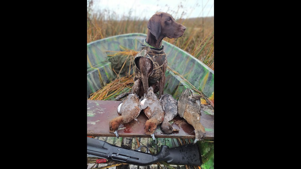 Sorsastusta syyskuussa