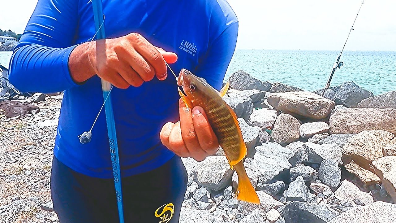 PESCARIA DE VARINHA DE MÃO 🎣 PRAIA DO JANGA-PE