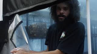 How We Load Shiitake Mushroom Blocks Into the Fruiting Room | Southwest Mushrooms