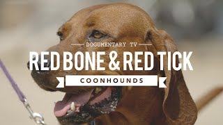 ALL ABOUT REDBONE & REDTICK COONHOUNDS Information