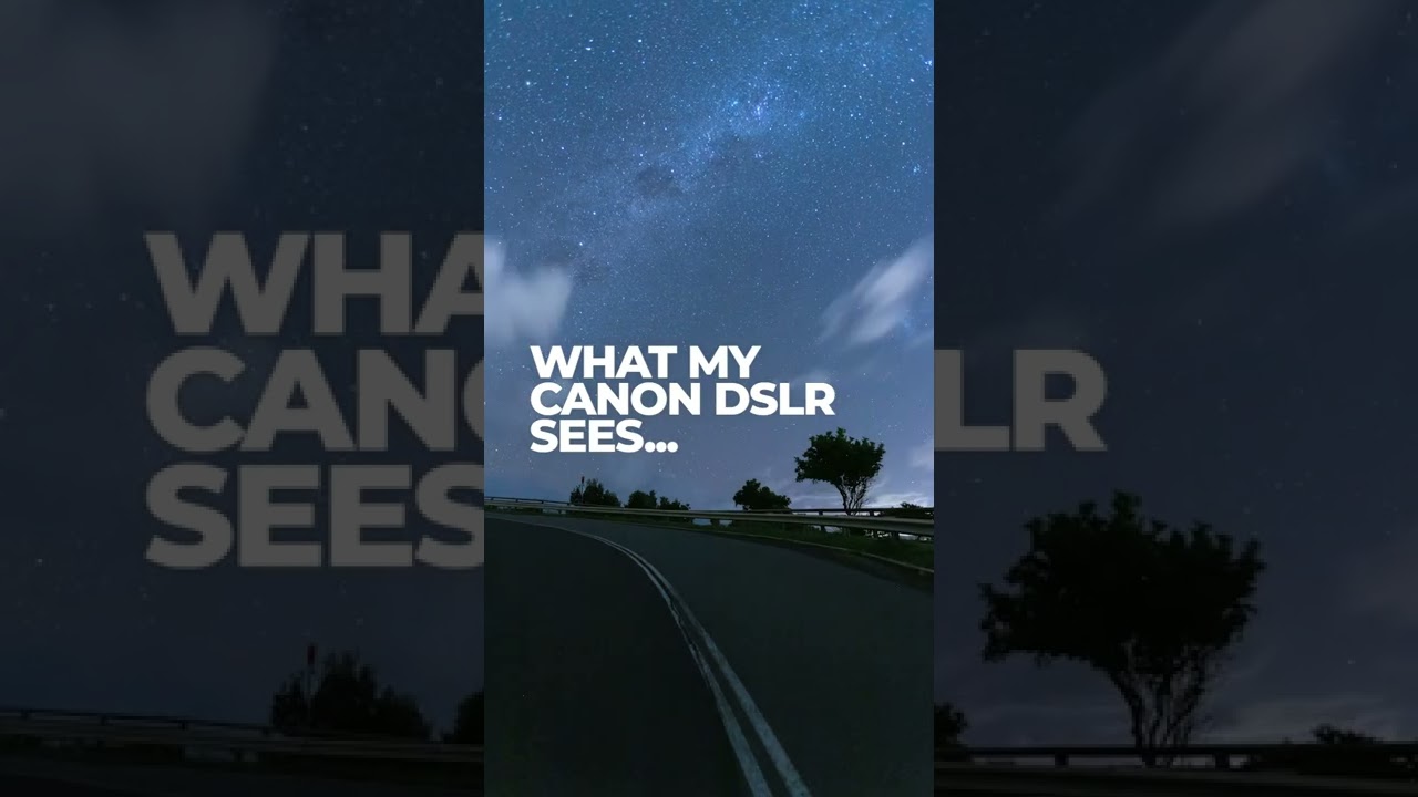 iPhone 13 Pro Max vs Canon 6D MkII