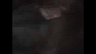 Metallica - Enter Sandman