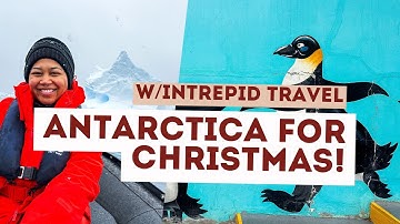 My Solo Cruise To Antarctica With Intrepid Travel!