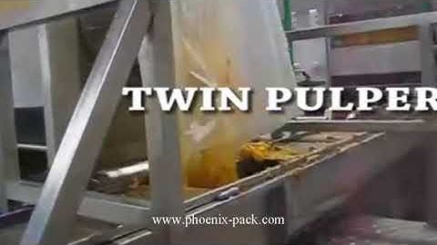 MANGO PULP PROCESSING LINE