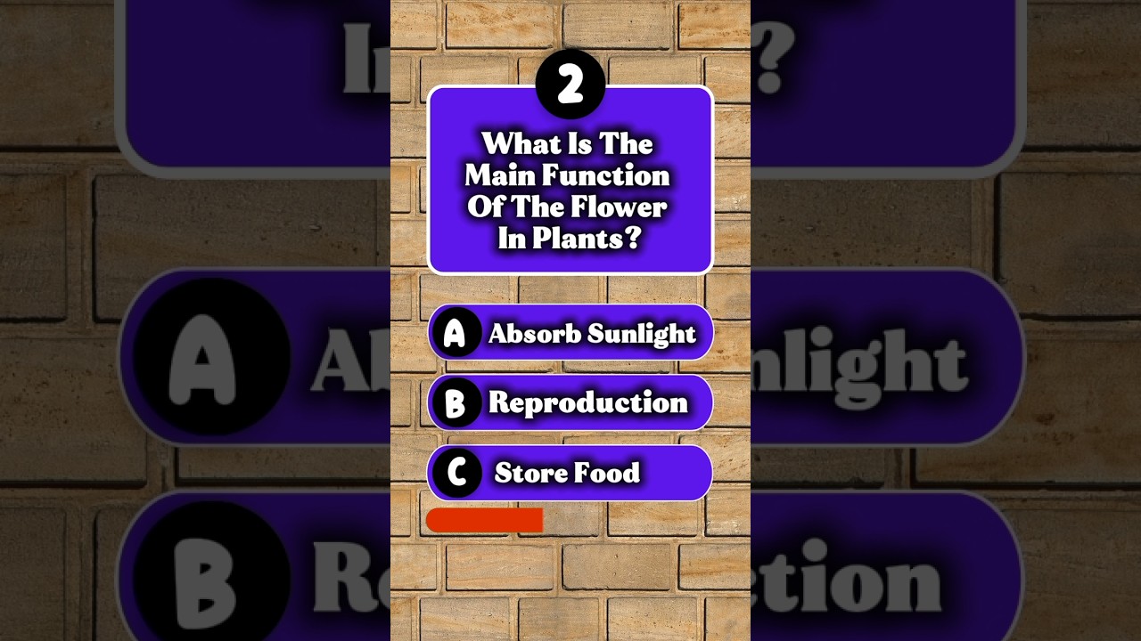 Top 5 Quiz About Plants 🌿 | Only Real Nature Lovers Can Score 5/5! 🌼🌳 