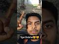 Tiger Zinda hai #tiger #zoo #fun #youtube #shorts