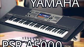 ايقاعات ياماها  2023 خليجية / سعودية  YAMAHA PSR a5000 SADUI and GULF MIDI STYLES
