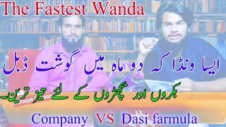Best meat Wanda for Cattles | Gosht wala  Wanda | Best formula | Team RLS | Rafaqat livestock
