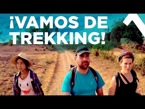 Vídeo: Notas Da Beira De Uma Crise Ambiental: O Lago Inle De Mianmar Corre Perigo - Matador Network