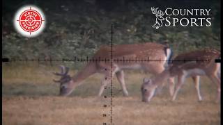 243 Stalking & Copper Ammo